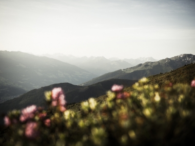Skiurlaub Zillertal, Urlaub Strass